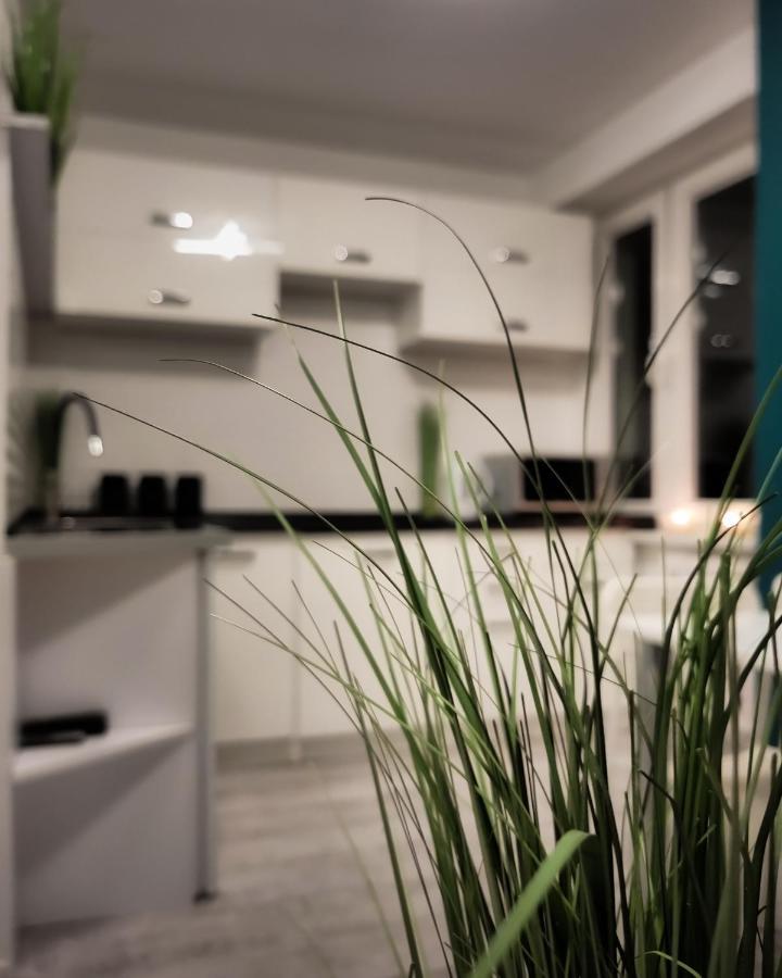 Apartament Green Mragowo-Mazury,Blisko Plaza, Centrum! Wi-Fi! Exteriér fotografie